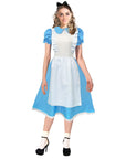 Adult Fairytale Blue Dress Costume