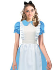 Adult Fairytale Blue Dress Costume
