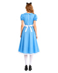 Adult Fairytale Blue Dress Costume