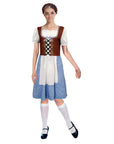Adult Oktoberfest Beer Girl Costume (Blue Brown)