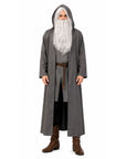 a person wearing a grey cloak with grey wig and beard.
