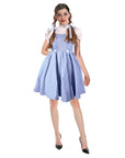 Adult Classic Blue Dress Costume