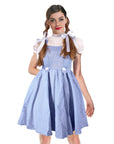 Adult Classic Blue Dress Costume