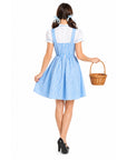 Adult Classic Blue Dress Costume