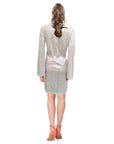 Adult 70s Disco Girl Costume (Silver)