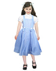 Children Classic Blue Gingham Dress