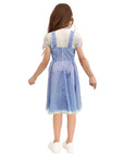 Children Classic Blue Gingham Dress
