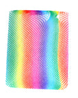 Rainbow Fishnet Pantyhose (Gradient)