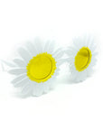 White Daisy Flower Party Glasses