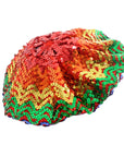 Sequin Beret Hat (Rainbow)