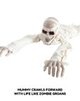 Animated Crawling Mummy