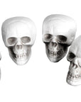 Skull Decoration (4pk)
