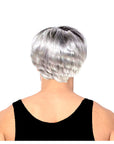 Men's Two Tone Wig (Grey White)