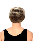 Men's Two Tone Wig (Brown Blonde)