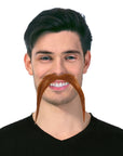 Assorted Fancy Party Moustaches