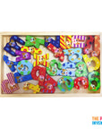 Wooden Alphabet Blocks in Tray