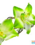 Green Forrest Orchid Flower Crown