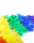 Angel Wing (Rainbow)