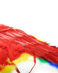 Angel Wing (Rainbow)