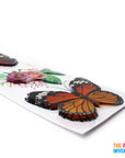 Jumbo Flowers & Butterflies 3D Stickers (Assorted)