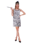 Adult Deluxe Sequin Flapper Costume (Silver)