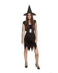Adult Wicked Witch Costume