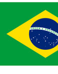 Brazillian Flag