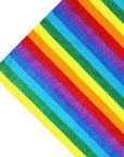 Rainbow Patterned Bandana