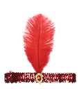 Adult 20s Rainbow Fringe Dress Costume Kit