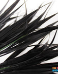 Artificial Black Grass