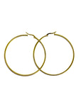 Gold Hoop Earrings