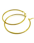 Gold Hoop Earrings