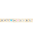 Boy or Girl Gold Glitter Banner