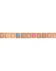 Boy or Girl Kraft Brown Banner