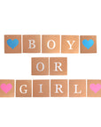 Boy or Girl Kraft Brown Banner