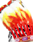 Native American Feathered Headpiece
