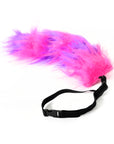 Grinning Cat Accessory Kit (2 piece set)