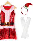 Ladies Mrs Claus Costume Kit