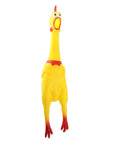 Shrilling Chicken