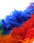 Rainbow Feather Boa