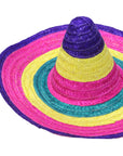 Large Mexican Straw Hat (Purple Rim)