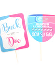 Boy or Girl Gender Reveal Photo Prop Kit