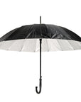 Large Black Umbrella