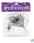 Spider Web Decoration