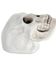 White Skull Prop (12x18cm)