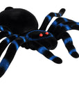 Large Flocked Spider with Blue Banding