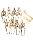 Deluxe Skeleton Decoration Garland 8pcs (6m)