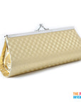 Metallic Clutch with Chain