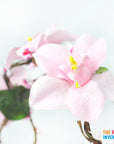 Pink Forrest Orchid Flower Crown