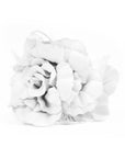 Large White Hair Flower Claw Clip